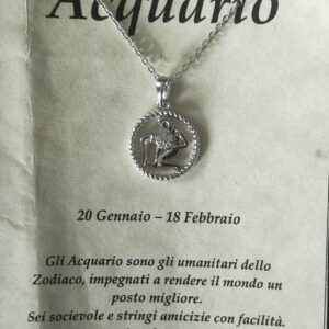 Collana in argento con ciondolo a forma di segno zodiacale – Acquario (20 gennaio – 18 febbraio) – Oroscopo zodiacale costellazione celeste gioielli astrologia – regalo donna uomo, Argento