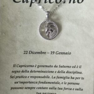 Collana in argento con ciondolo a forma di segno zodiacale – Capricorno (22 dicembre – 19 gennaio) – Oroscopo zodiacale costellazione celeste gioielli astrologia – regalo donna uomo, Argento